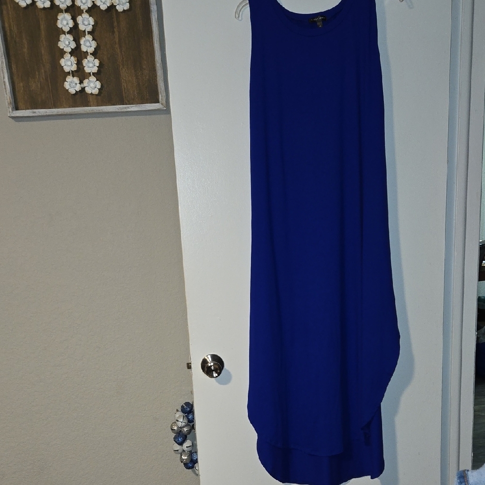 NWOT Blue Sleeveless Dress